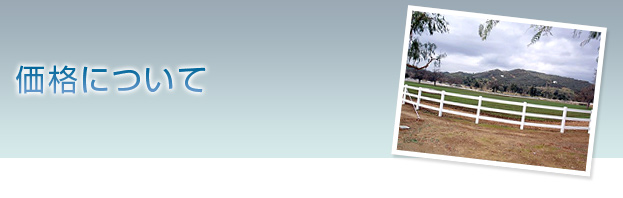 �o�C�i���t�F���X�̉��i�ɂ���