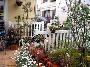 ��t�� ���q�̎{�H��