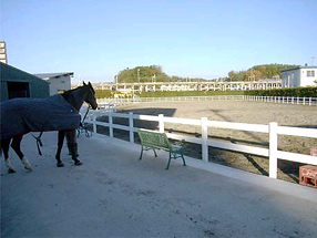 ��t�� �x���s�̎{�H��