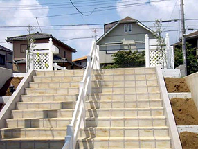 ��t�� �l�X���s�̎{�H��